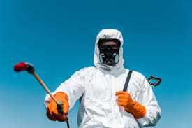 Best Pest Exclusion Services  in Cienegas Terrace, TX